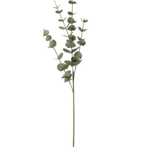 Eucalyptus Grå 60cm