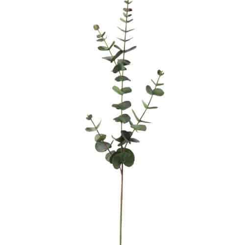 Eucalyptus Grå 80cm