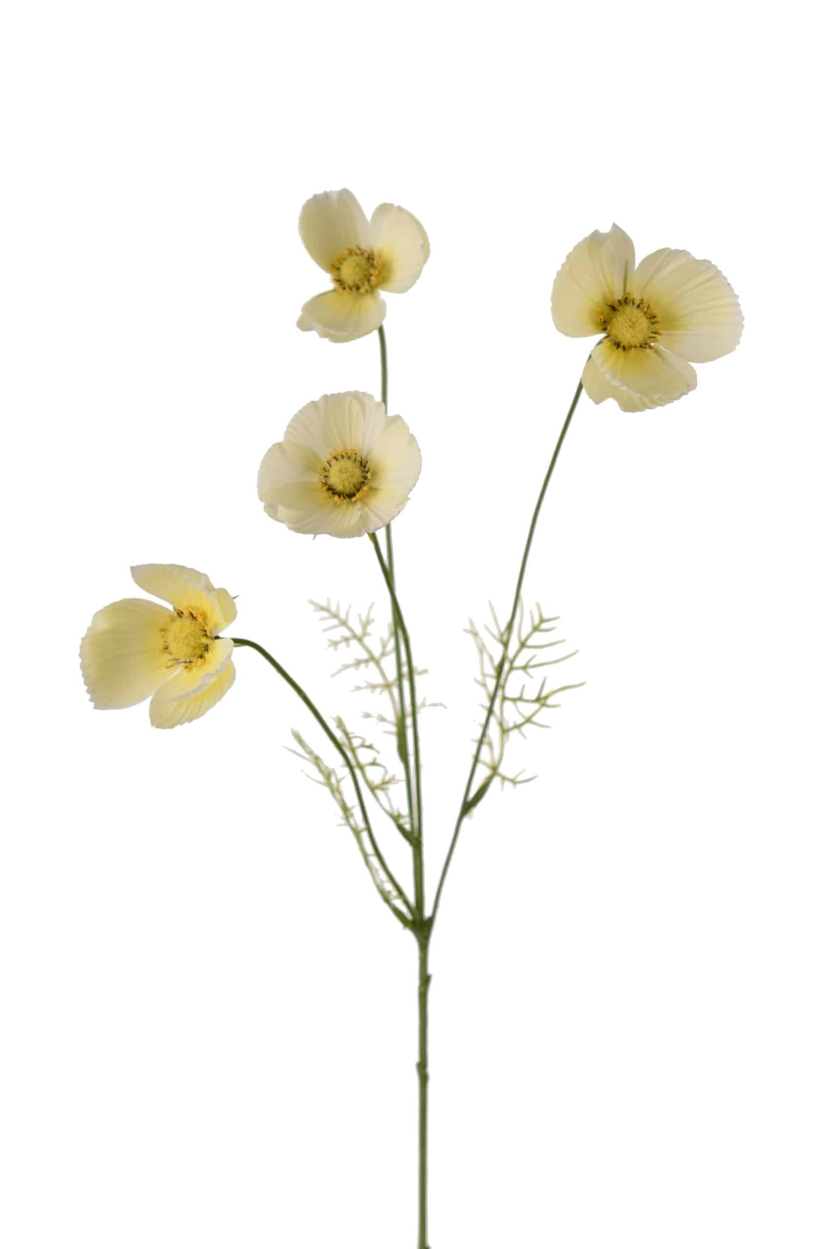 Rosenskära Gul 60cm