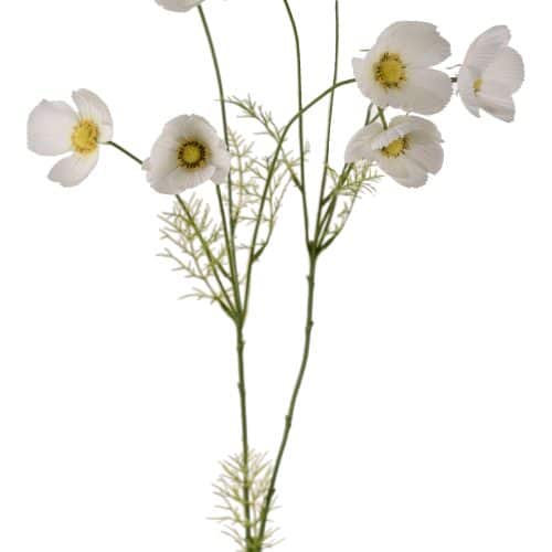 Rosenskära Vit 100cm