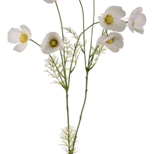 Rosenskära Vit 100cm