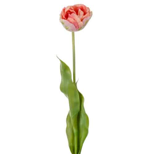 Tulpan Rosa 67cm