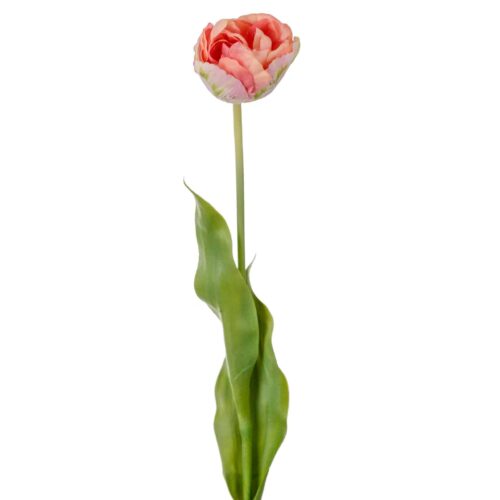 Tulpan Rosa 67cm