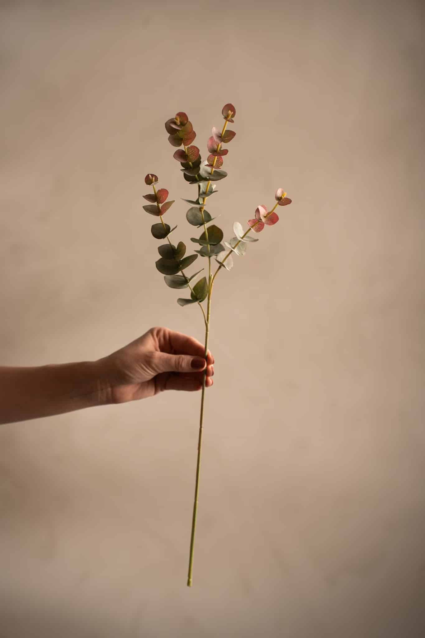 Eucalyptus Grön 60cm - Bild 3