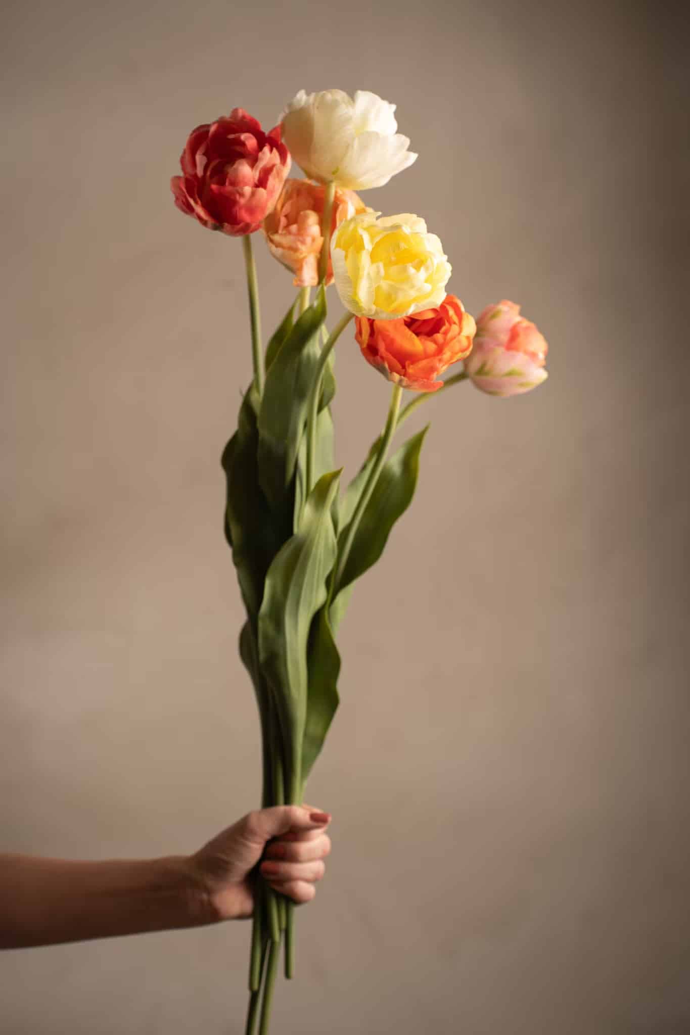 Tulpan Rosa 67cm - Bild 2