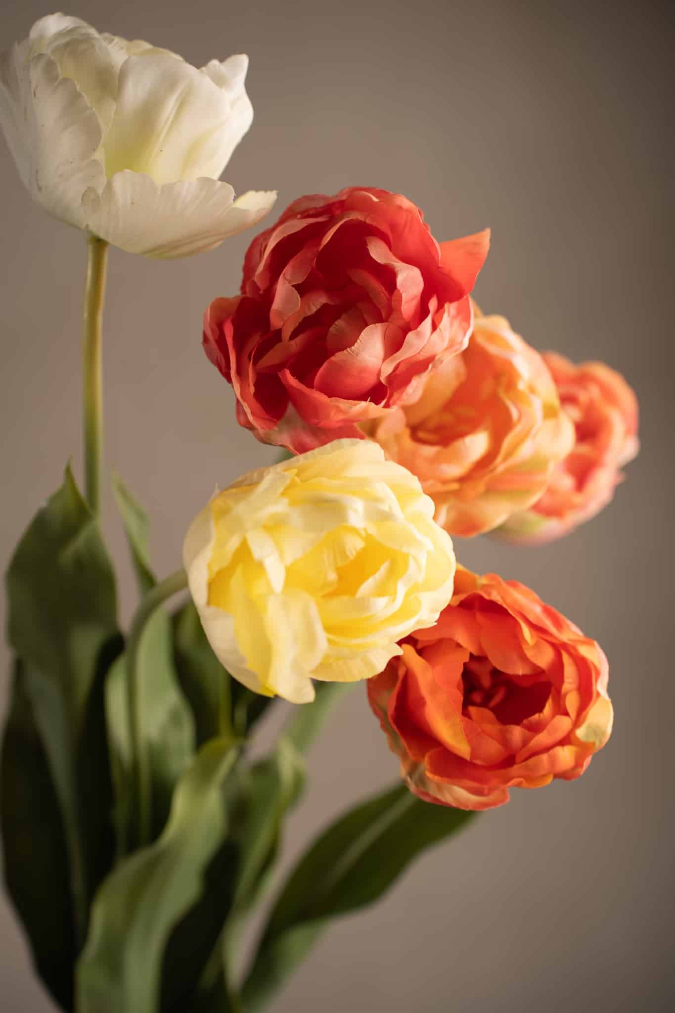 Tulpan Rosa 67cm - Bild 3