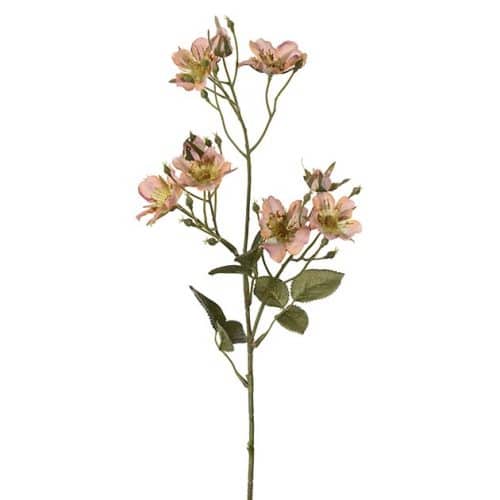 Japansk klätterros 65 cm