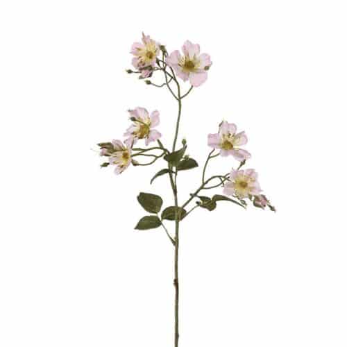 Japansk klätterros 35 cm Rosa