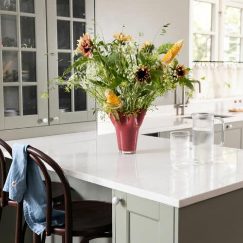 Viva vas stor Vinröd