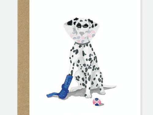 Parlebo Kort Feel Better Dog