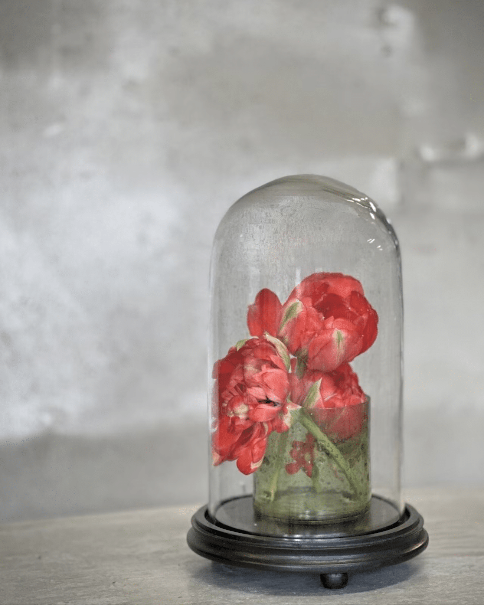 Noori VALLON liten rund glaskupol med svart bas - Bild 2