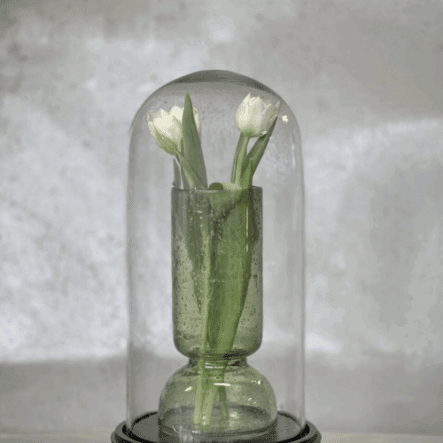 Noori VALLON mellan rund glaskupol med svart bas