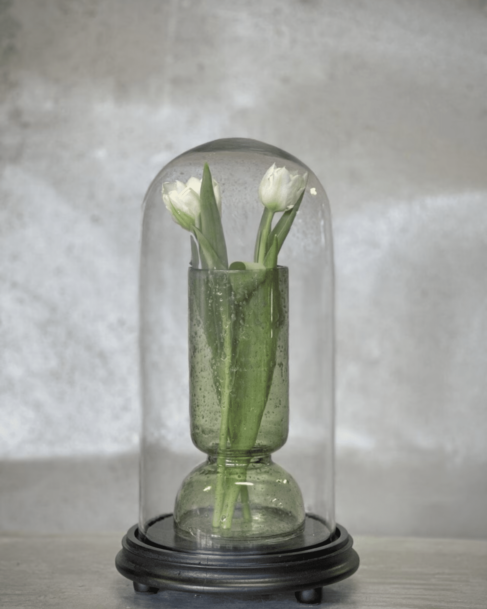 Noori VALLON mellan rund glaskupol med svart bas