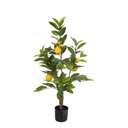 Citronträd i kruka 90 cm