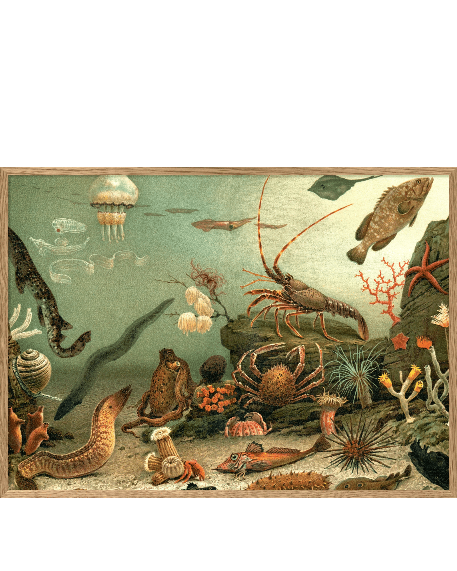 The Dybdahl Company Tavla Aquarium Horizontal - Bild 3