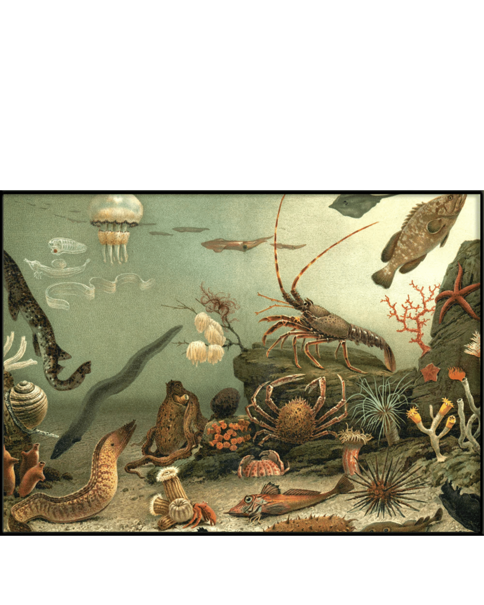 The Dybdahl Company Tavla Aquarium Horizontal - Bild 2