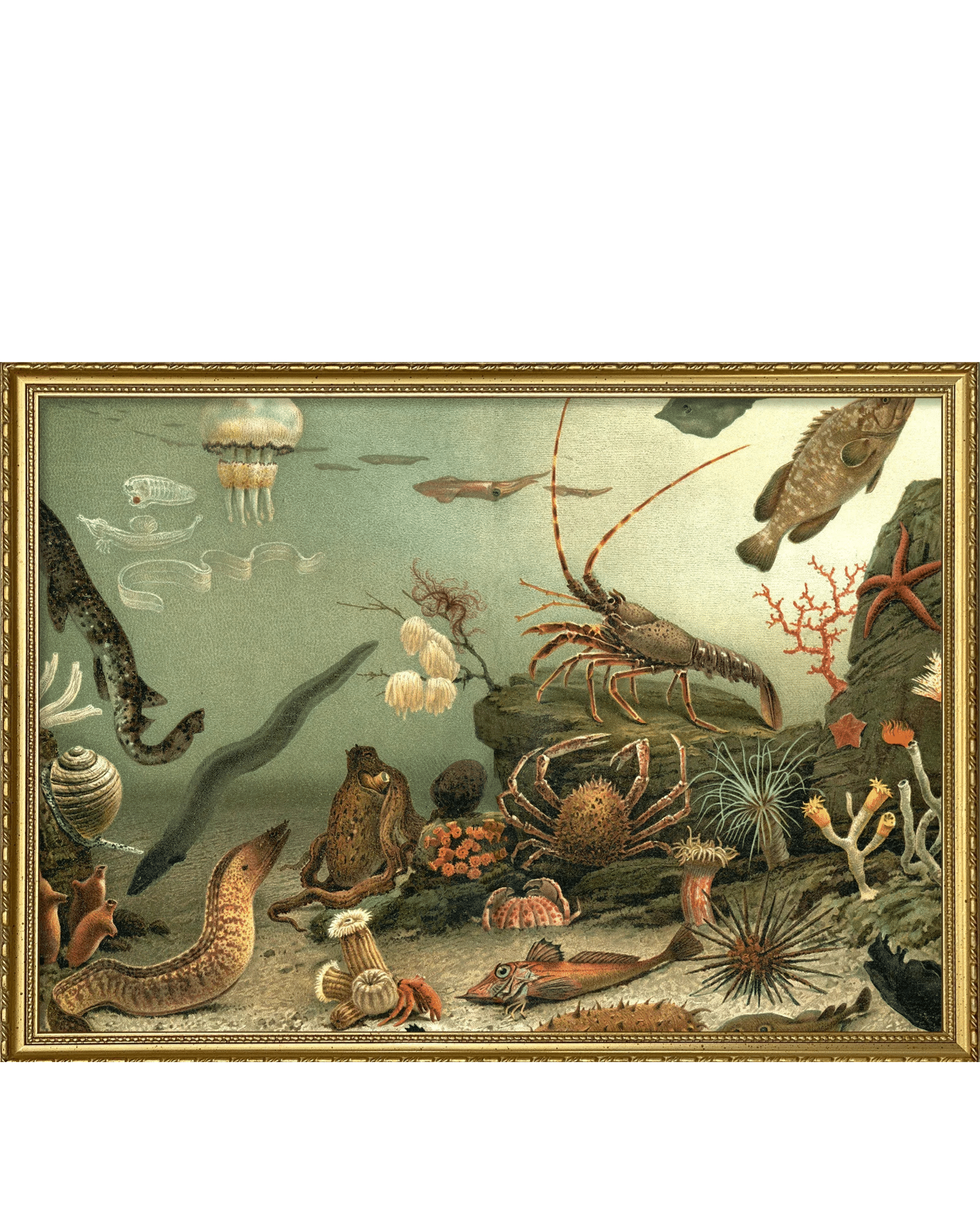 The Dybdahl Company Tavla Aquarium Horizontal - Bild 4