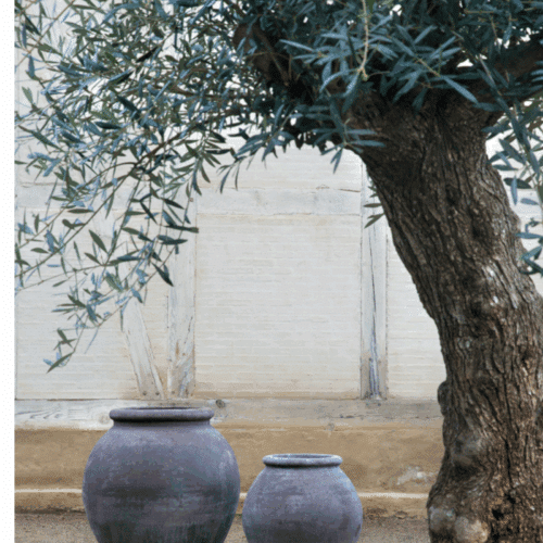 Bergs Potter Urna Olivia Grå Terracotta ø86cm