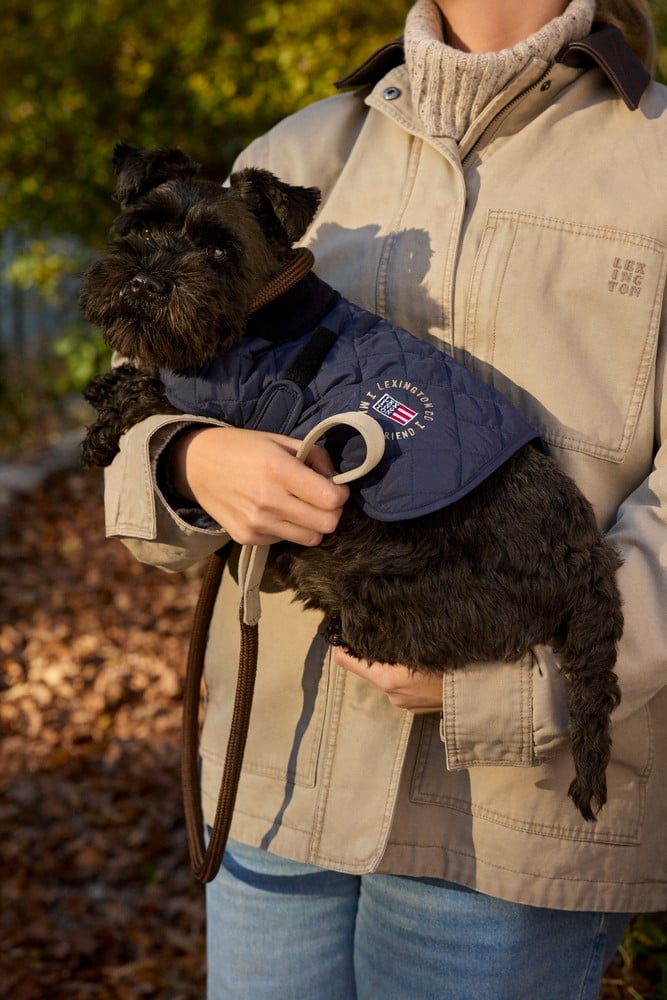 Lexington Hundkoppel brun - Bild 2