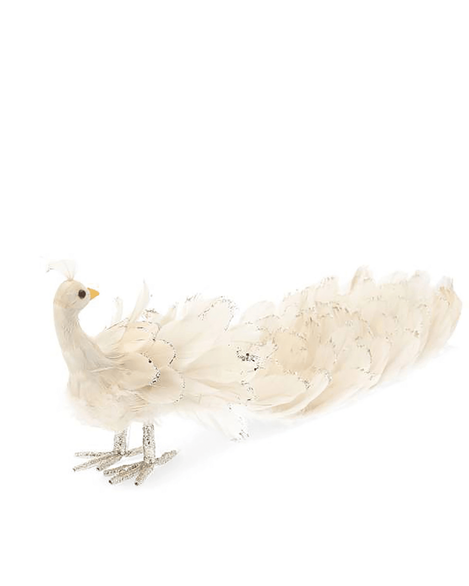 Påfågel Glitterfjädrar