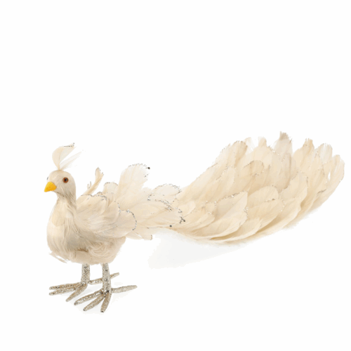 Påfågel Glitterfjädrar