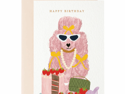 Parlebo Kort Fashion Birthday Poodle