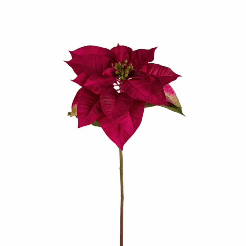 Julstjärna 70 cm Burgundy