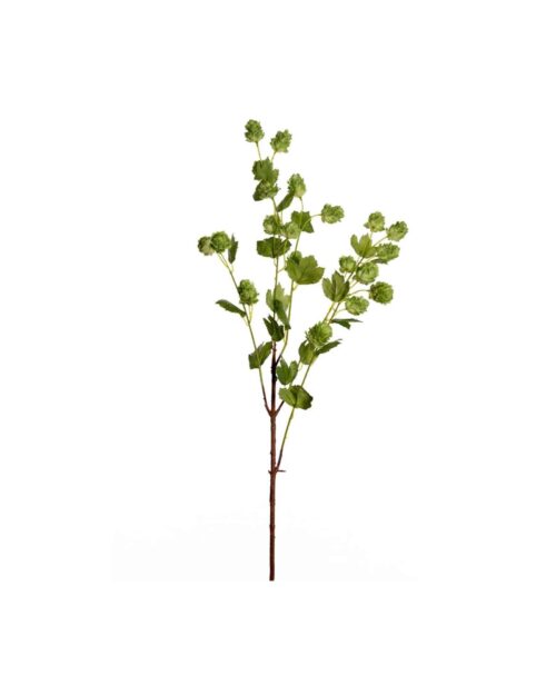 Humle 90cm