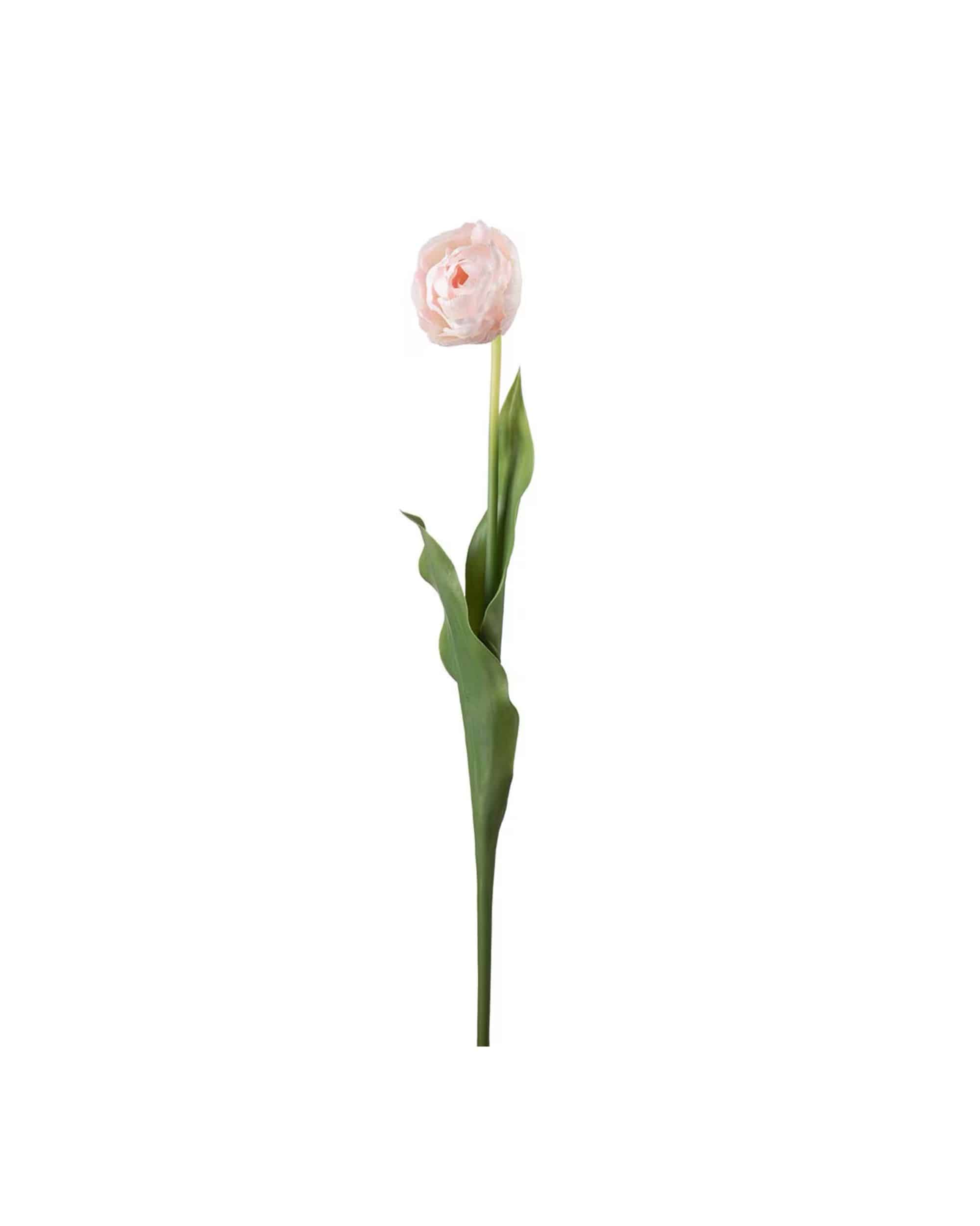 Tulpan Rosa 67cm