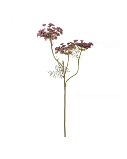 Vildmorot Lila 80 cm