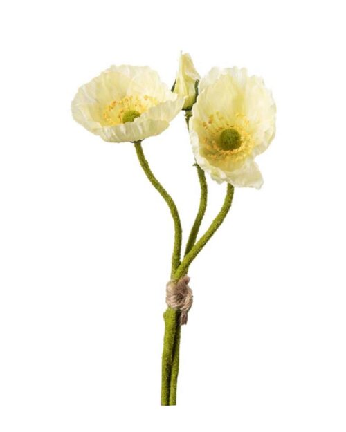 Vallmo bunt Gul 22cm