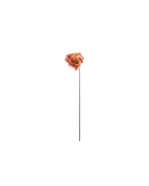 Vallmo 75cm