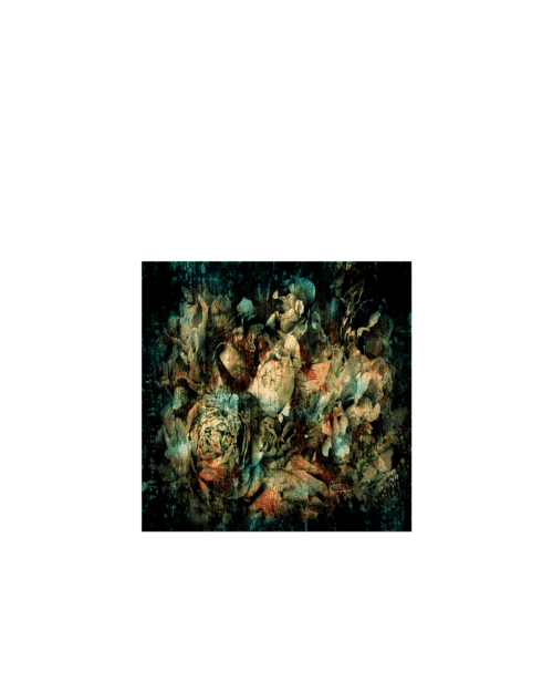 BOTANICAL ABSTRACT Tavla Plexiglas / Aluminium