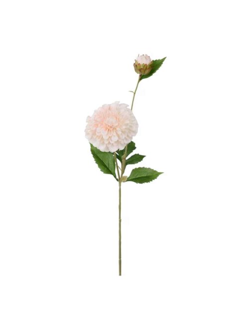 Dahlia Persika 66 cm