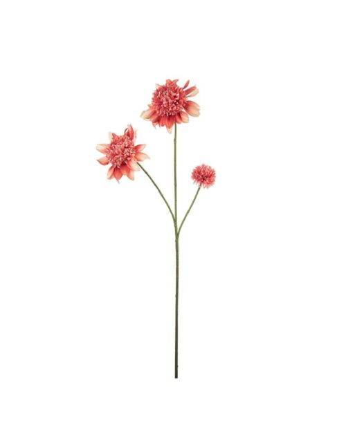 Dahlia Persika 95cm