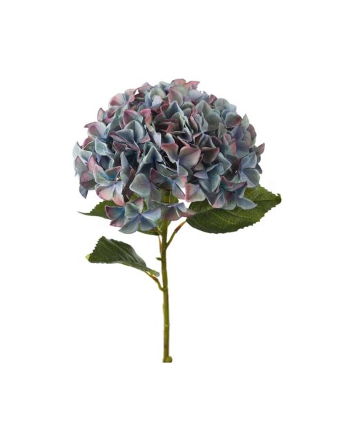 Hortensia Blå 110 cm