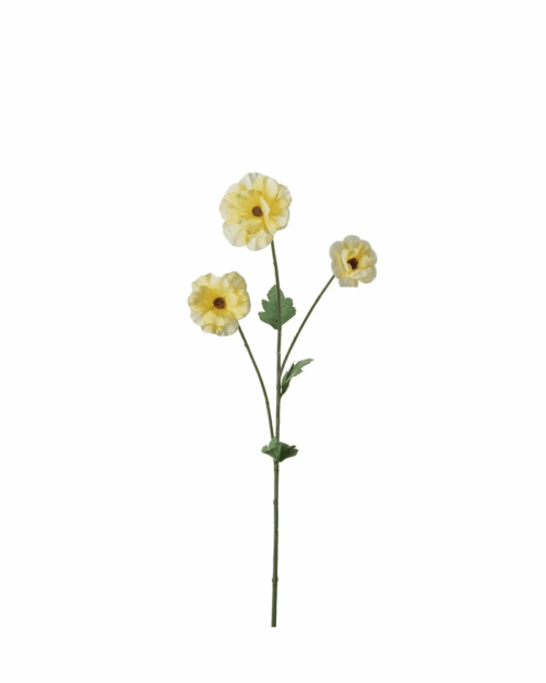 Japansk Ranuncel Gul 62 cm – Konstväxt med färgstarka blommor