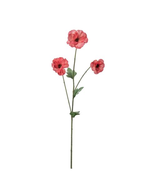 Japansk Ranuncel Rosa 62 cm