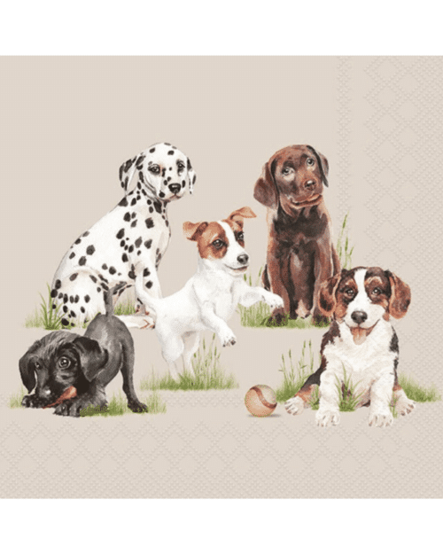 Servetter – Playing Puppies