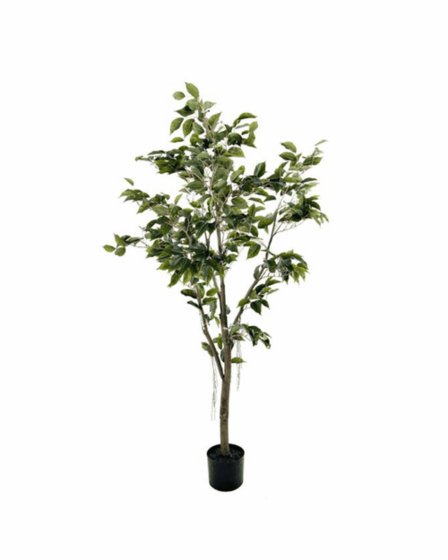 Mr Plant Fikus Benjamin 180 cm – Underhållsfri konstväxt med kruka