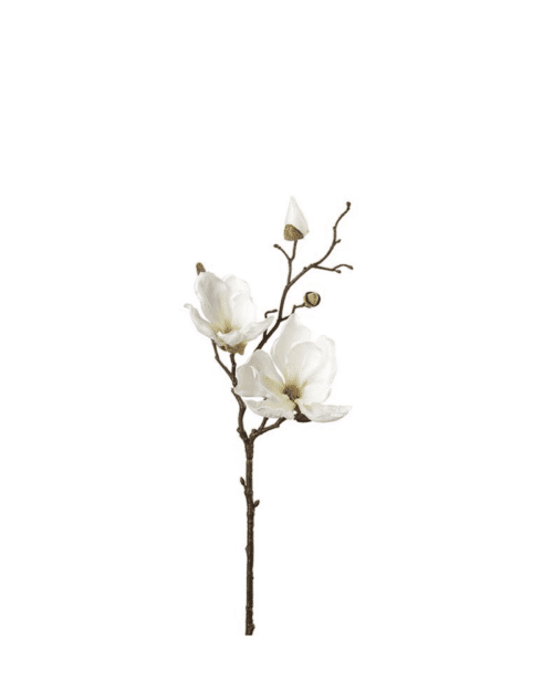 Magnolia Cream 45 cm – Naturtrogen konstväxt
