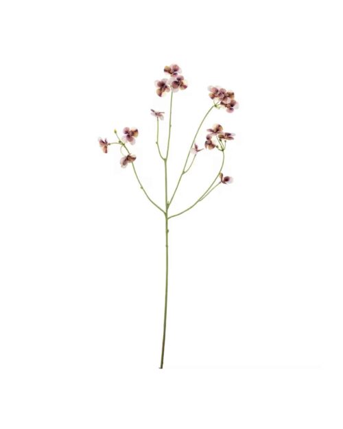 Pensé flerfärgad Lila 63 cm
