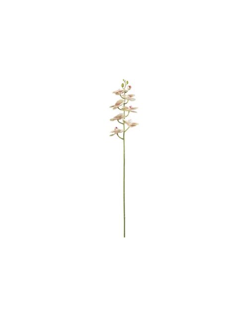 Phalaenopsis konstväxt 75 cm grön