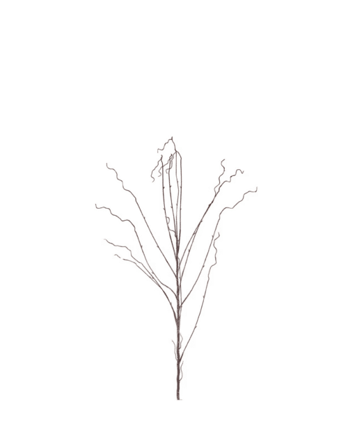 Salix kvist 130 cm Brun – Konstväxt