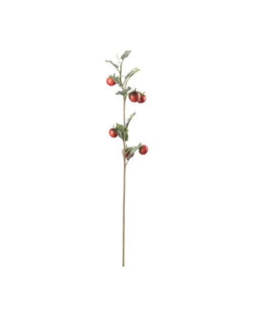 Tomatkvist 75cm