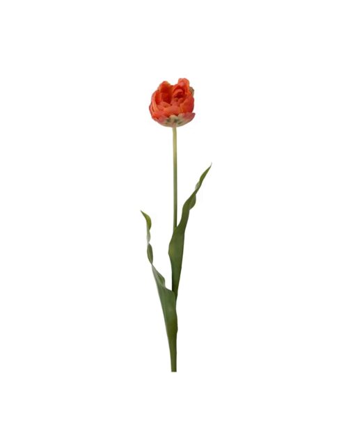 Tulpan Orange 67cm