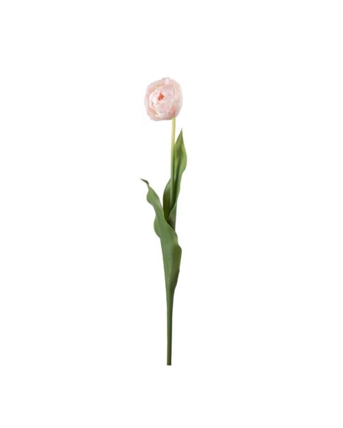 Tulpan Ljusrosa 67cm