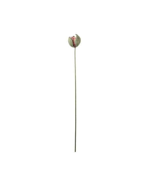 Vallmoknopp Rosa 78cm