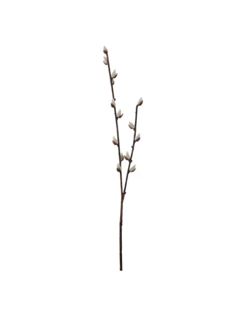 Vide 57 cm
