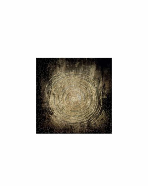 circle of life fototavla 100x100